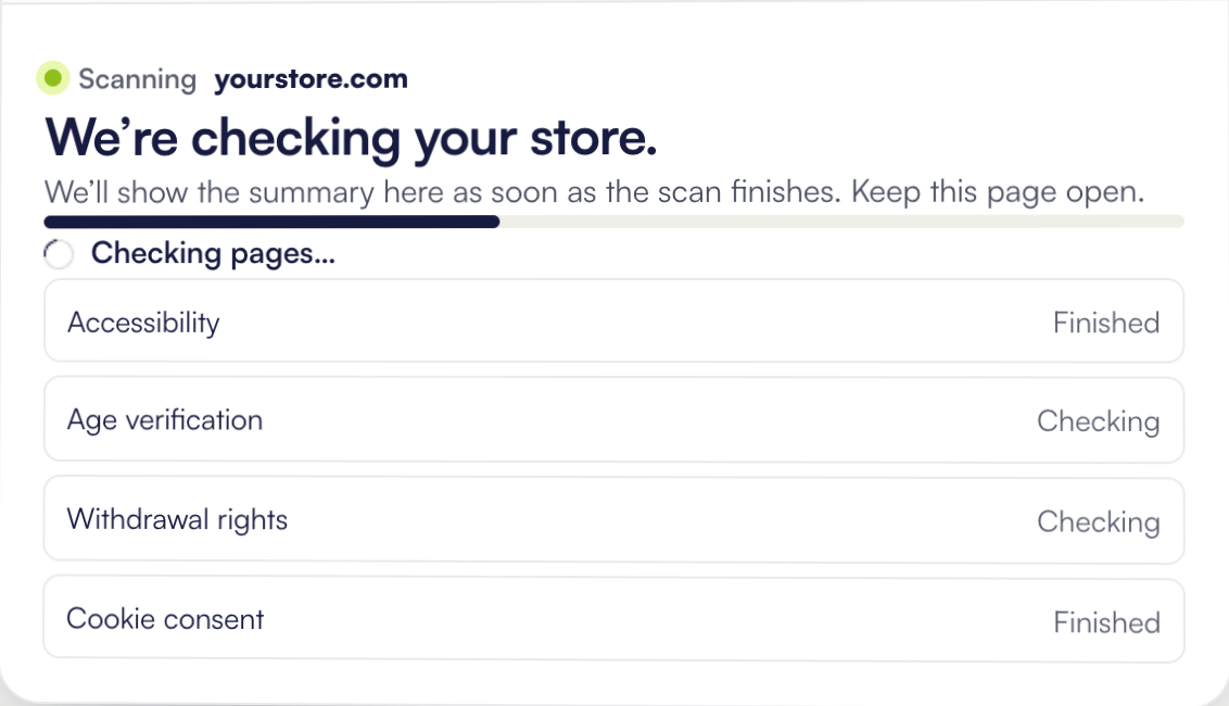 Scan in progress with a status for each check